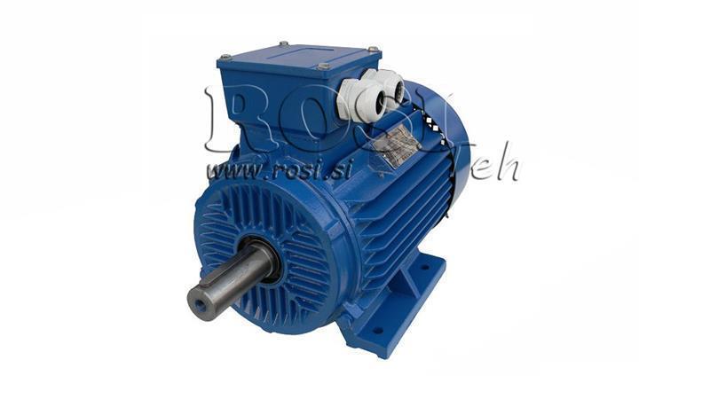 MOTOR ELÉTRICO 2P B3 3F pés