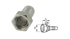 CONEXÕES-FÊMEAS-BSP