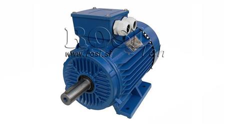 MOTOR ELÉTRICO 2P B3 3F pés