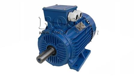 MOTOR ELÉTRICO 2P B3 3F pés